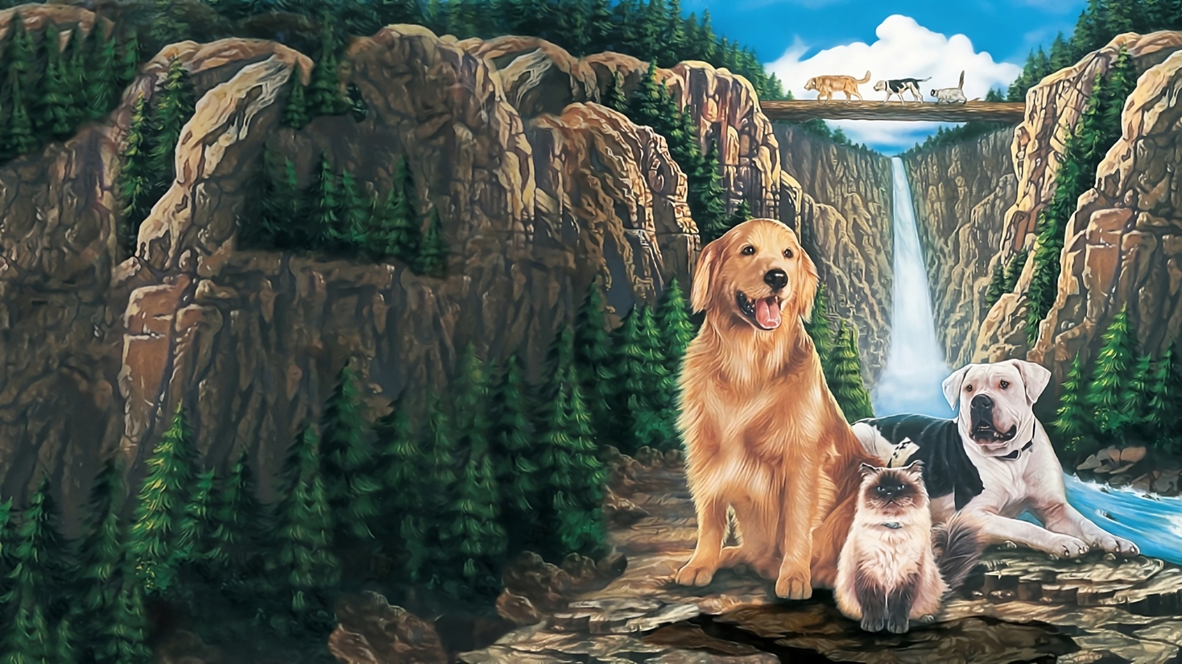 Кадр з фільму